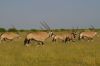 botswana07.jpg