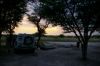 Petit matin en brousse