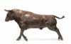Toro