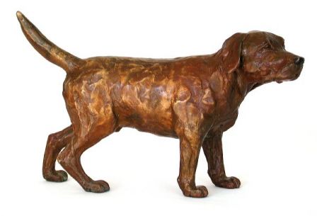 Labrador