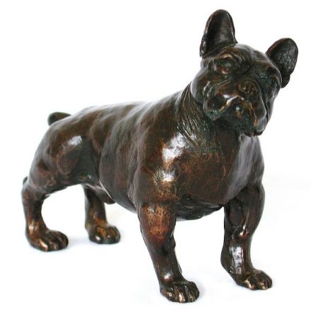Bouledogue Français