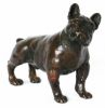 Bouledogue Français