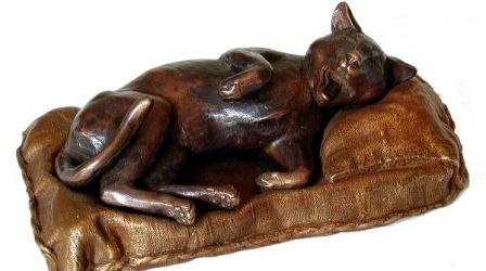 Chat au coussin