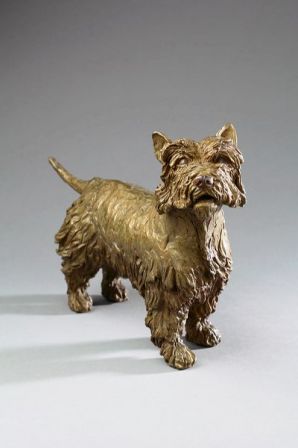 Westie