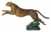 Guépard