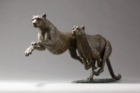 Couple de Guépards
