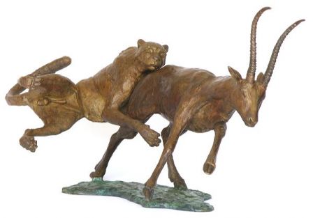 Guépard en chasse