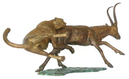 Guépard en chasse