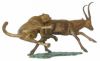 Guépard en chasse