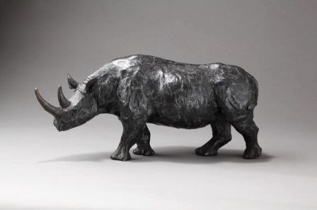 Rhinocéros noir