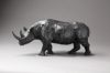 Rhinoceros noir