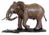 Eléphant