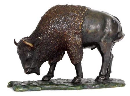 Bison