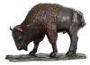 Bison