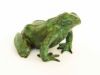 Grenouille Verte