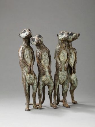Suricates