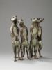 Suricates
