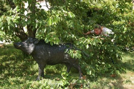 Wild boar life size