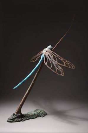 Anax empereur