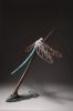 Anax empereur