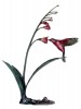 Colibri