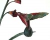 Colibri (détail)