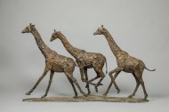 3 Girafes au Galop  L:107cm-H:60cm