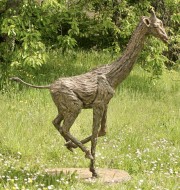 Jeune girafe H:133cm