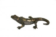 Salamandre L: 23cm